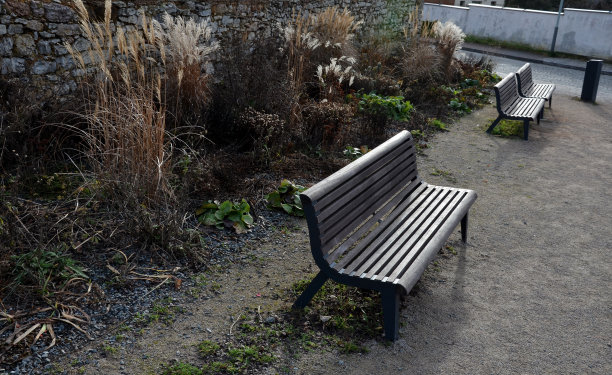 木长椅的镶板下面是一个矩形的混凝土防刮米黄色小径，游客的鞋子开花浪漫的花坛和石墙日本银草，图片下载