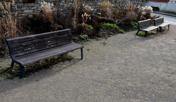 木长椅的镶板下面是一个矩形的混凝土防刮米黄色小径，游客的鞋子开花浪漫的花坛和石墙日本银草，图片下载