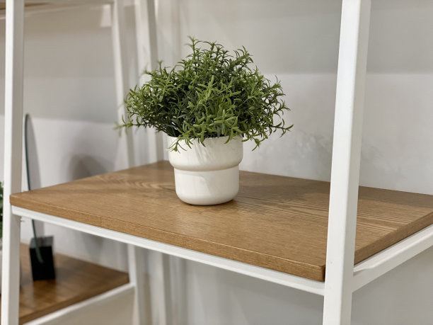 室内设计装饰细节植物板枕头沙发书房架子木制桌椅顶部框架金属灯复古类花卉图片下载