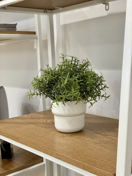 室内设计装饰细节植物板枕头沙发书房架子木制桌椅顶部框架金属灯复古类花卉图片下载