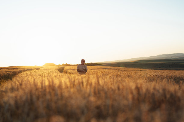 老农走在麦田里图片下载
