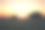 夕阳下的玉米种植园图片下载