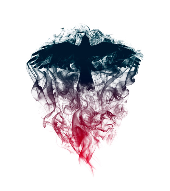 一个飞翔的乌鸦的剪影与展开的翅膀在烟雾与一个美丽的梯度隔离在白色背景。一只乌鸦在烟雾中飞行的剪影。图片下载