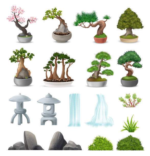 盆景树图片下载