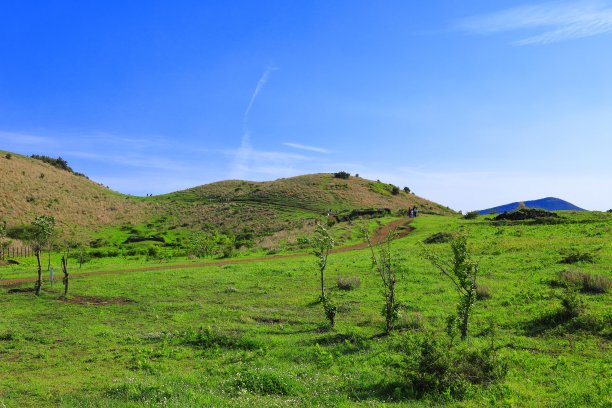 Yongnuni奥利姆图片下载