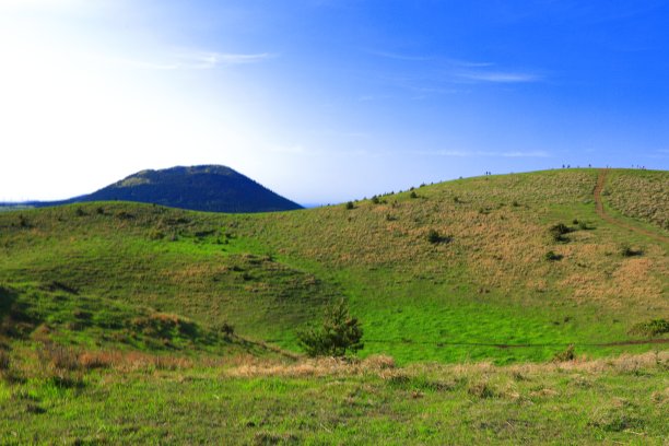 Yongnuni奥利姆图片下载