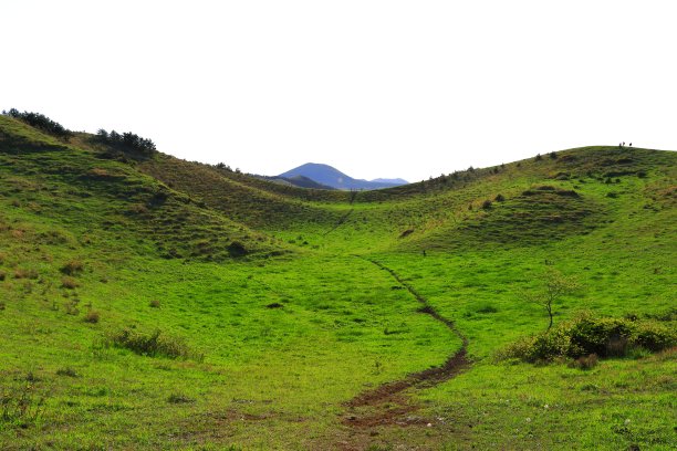 Yongnuni奥利姆图片下载