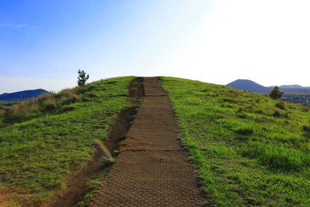Yongnuni奥利姆图片下载