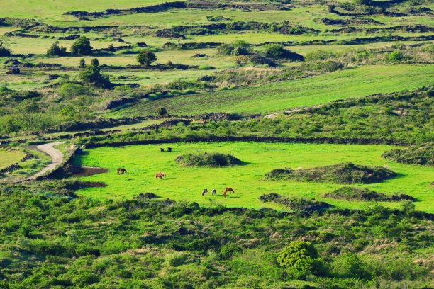 农田景观图片下载