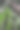 树根上有绿色的苔藓图片下载