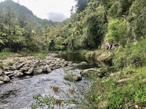 繁茂的河谷图片下载