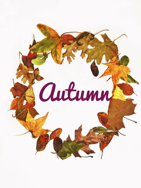 秋天花环自然五彩缤纷的树叶图片下载