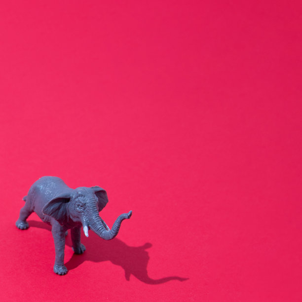 大象孤立在红色背景上，带阴影的树干与复制空间。最小的野生动物场景。图片下载