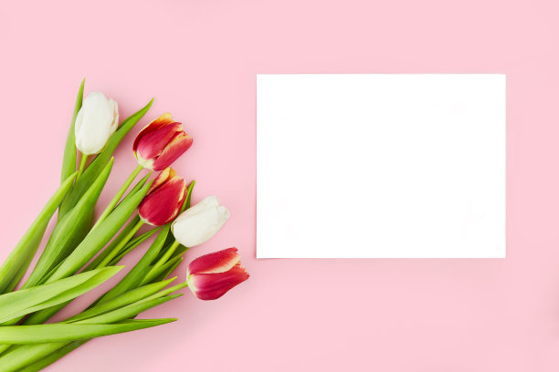 粉红色背景郁金香，春天的花束。用白卡制作模型。贺卡。母亲节，情人节图片下载