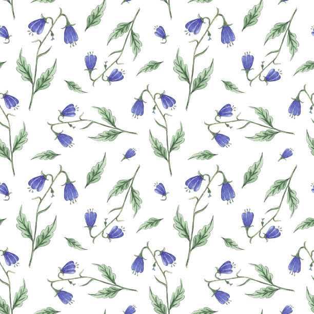 水彩无缝图案野花钟花，白色底色洋甘菊，手绘植物风格，适合度假、婚礼设计。数码纸包装装饰包装，卡片，杯子图片下载