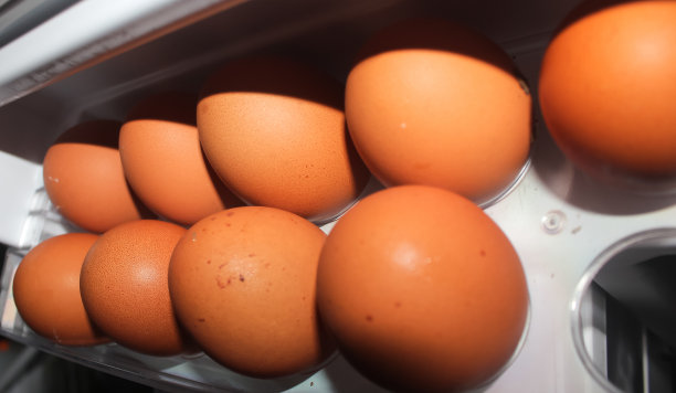 冰箱里鸡蛋的照片图片下载