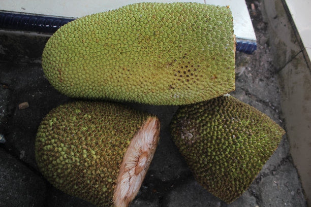 一堆菠萝蜜水果的照片图片下载