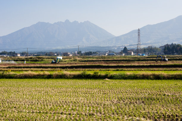 在日本熊本县麻生火山火山口内的稻田耕作图片下载