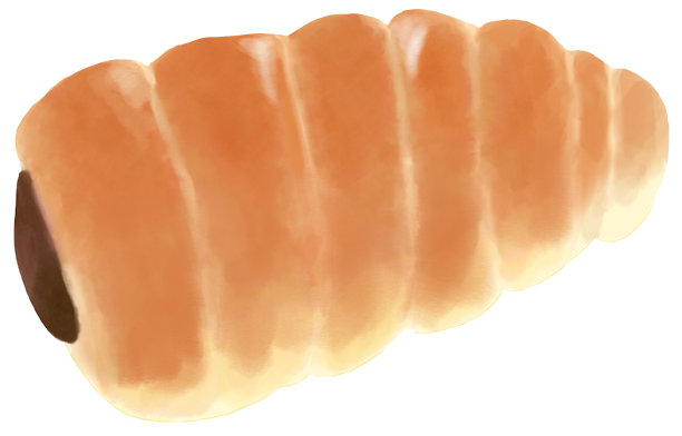 水彩风格的巧克力短号插图图片下载