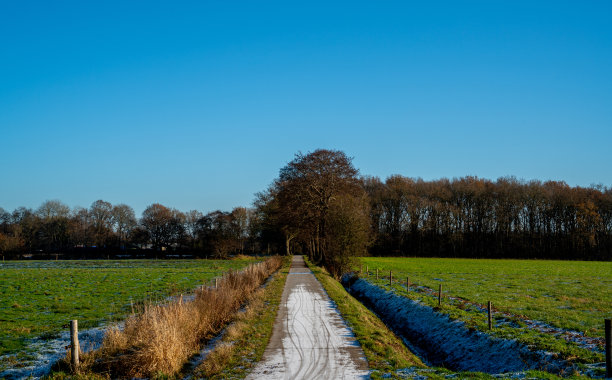 荷兰德伦特的冬季景观和自行车道图片下载
