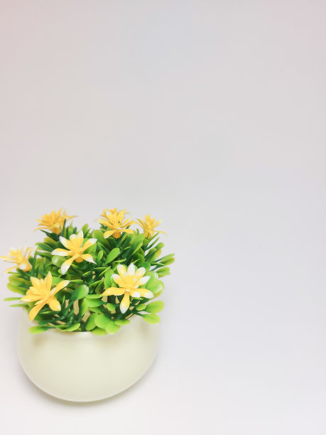 假的植物。黄色的花。迷你锅。白色背景图片下载