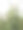 种植在温室里的玫瑰图片下载