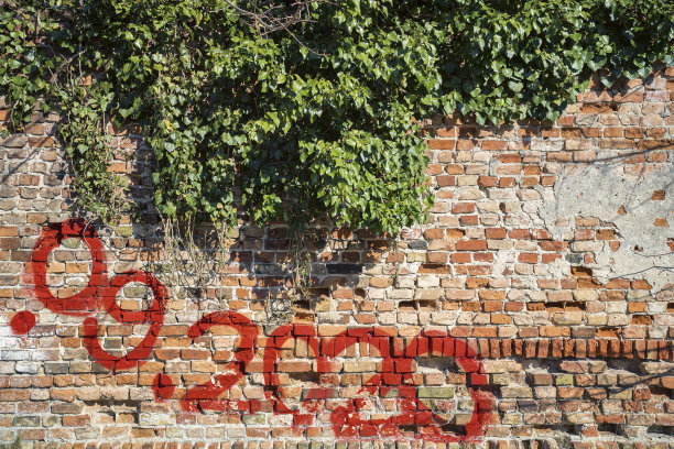 旧的毁灭图片下载