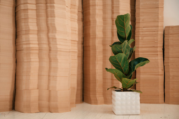 印刷厂里有很多纸张。在物体对面的花盆里种一株榕树图片下载