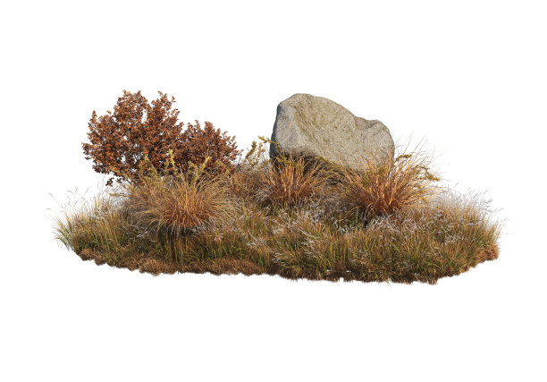 在白色背景上3D渲染秋天的花园图片下载