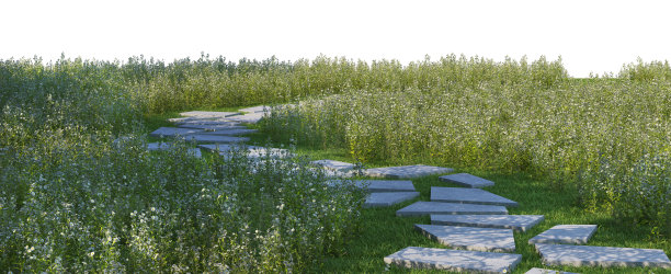 在白色背景上3d渲染草地图片下载