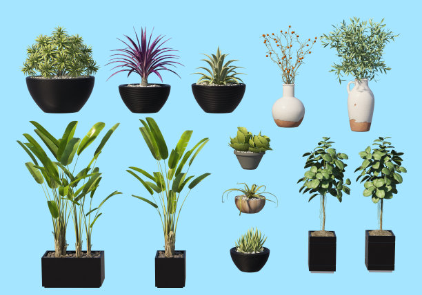 用蓝色背景装饰花园。图片下载