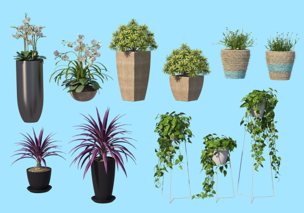 用蓝色背景装饰花园。图片下载