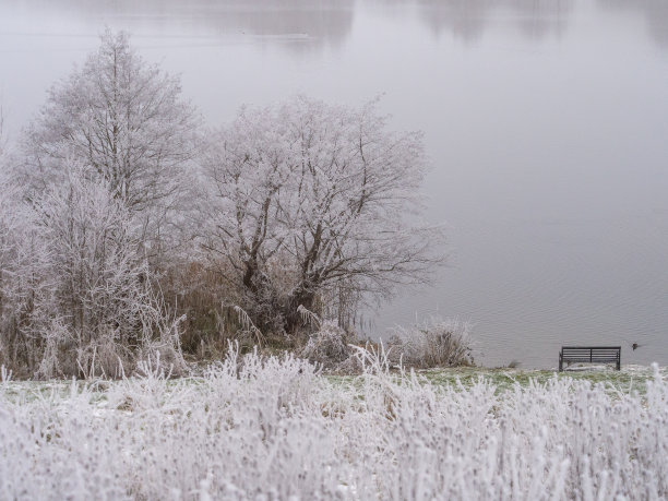 沉重的白霜在匹克米尔湖，匹克米尔，纳茨福德，柴郡，英国图片下载