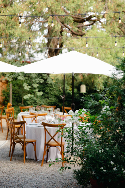 后院的婚宴——铺着白色桌布的圆桌，老式灯笼，玫瑰和风信子，还有弯曲的木椅图片下载