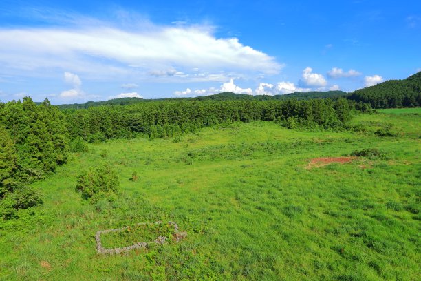 济州岛的乡村景观图片下载