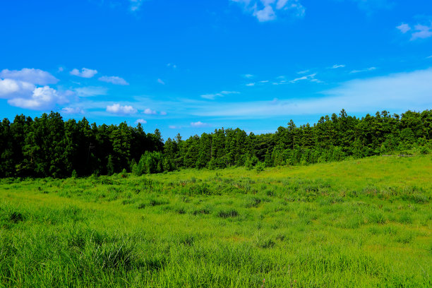 济州岛的乡村景观图片下载