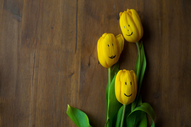 黄色郁金香家族在木制背景上用马克笔画出微笑。3月8日。妇女节。母亲的一天。春天的心情。花在三月。花带微笑。长着脸的郁金香。花家快乐。图片下载