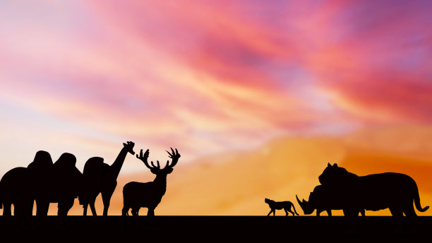 野生动物剪影在黄昏天空3d渲染图片下载