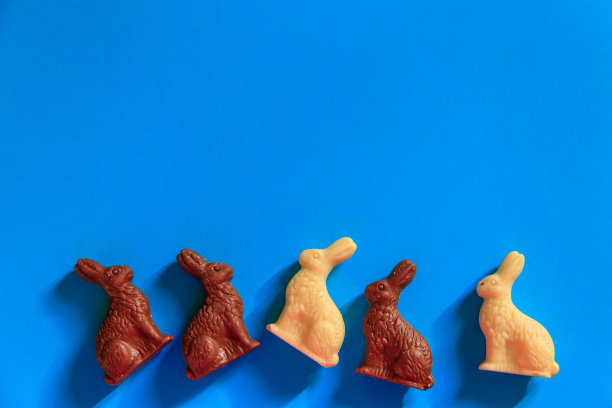 蓝色背景的复活节巧克力兔子。俯视图图片下载