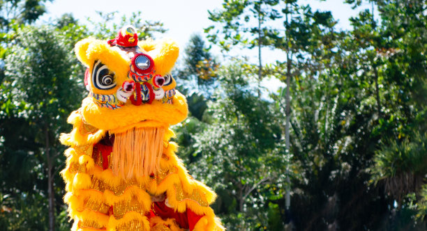 春节期间的舞狮表演图片下载