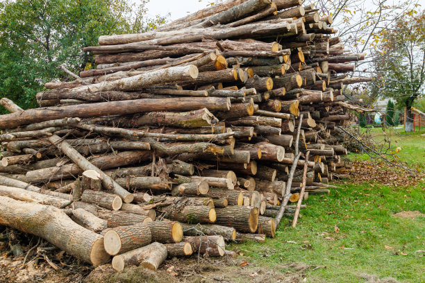 为冬天收集柴火。一堆堆在一起的柴火，为冬天取暖做准备，劈成一堆的柴火，为冬天做准备的柴火，成堆的原木。图片下载