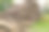 为冬天收集柴火。一堆堆在一起的柴火，为冬天取暖做准备，劈成一堆的柴火，为冬天做准备的柴火，成堆的原木。图片下载