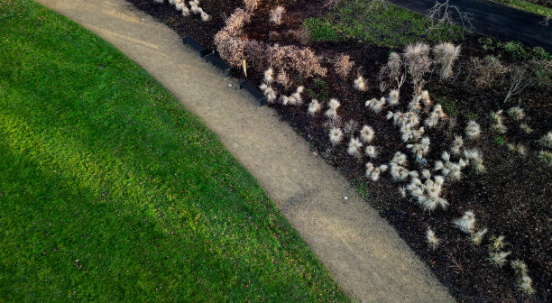 一大片多年生植物床上的观赏草和针叶树。从高处看到的一束束干燥的草。景观公园中的墙壁和土路图片下载