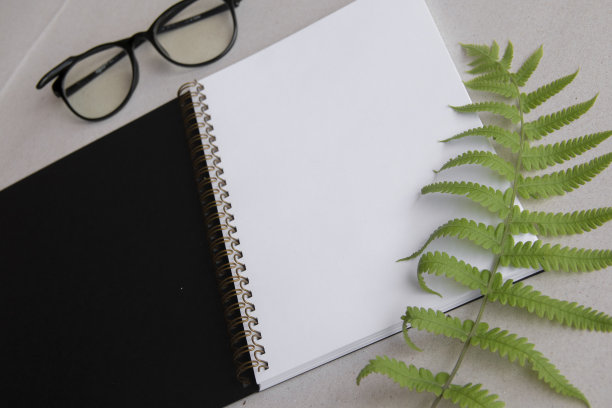 笔记本上的蕨类叶子图片下载