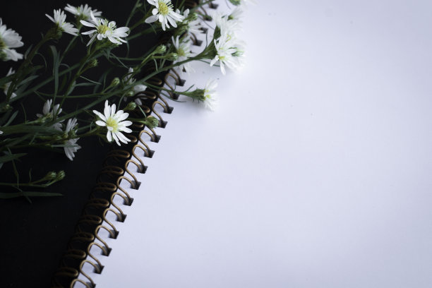 空白笔记本上的花图片下载