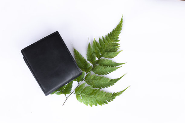 钱包和蕨叶图片下载