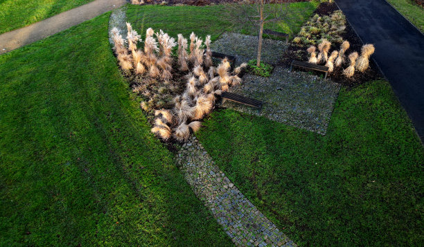 一大片多年生植物床上的观赏草和针叶树。从高处看到的一束束干燥的草。景观公园内的围墙和土路，弯弯曲曲的矮梁树篱，鹅卵石路面图片下载