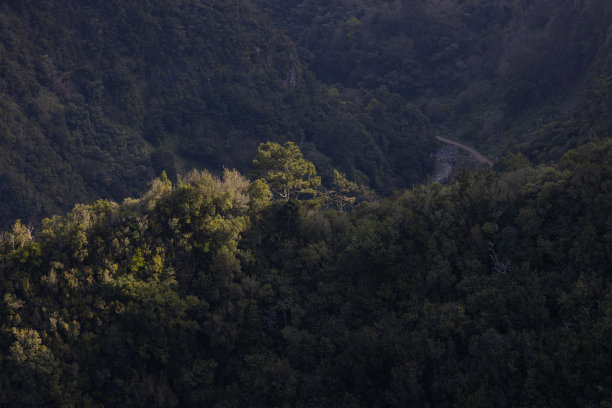 早晨的阳光亲吻着马德拉岛的山峰。图片下载