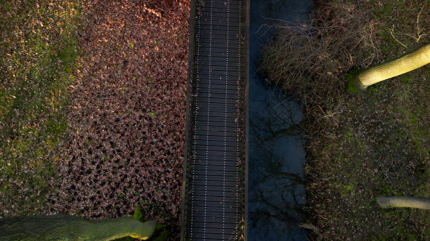 桥梁和人行天桥是受欢迎的自然景观。有栏杆的观景台，横跨河谷槽。砾石小径和花岗岩马赛克。十字形状，在溪流上方，树形，螺栓和螺母图片下载
