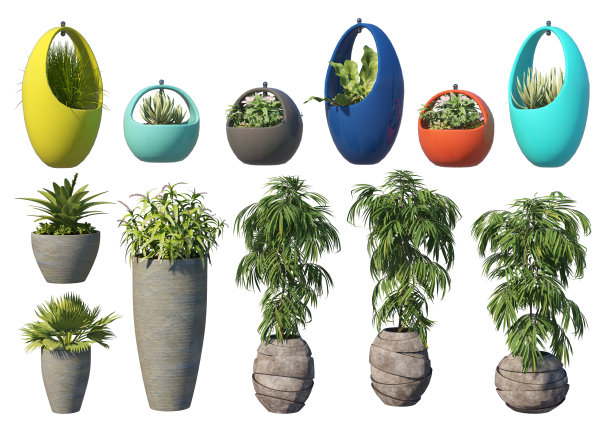 3D渲染盆栽植物的家庭装饰在白色背景图片下载